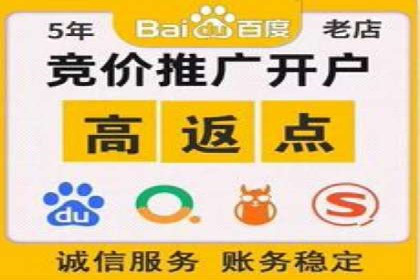百度推广代理商服务优势案例分析